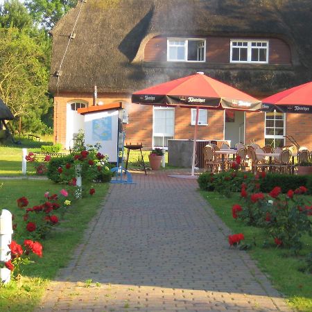 Hotel Alt Wittower Krug วีคเอาฟ์รือเกน ภายนอก รูปภาพ